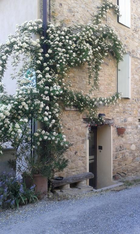 Agriturismo Il Gelso Traversetolo Экстерьер фото