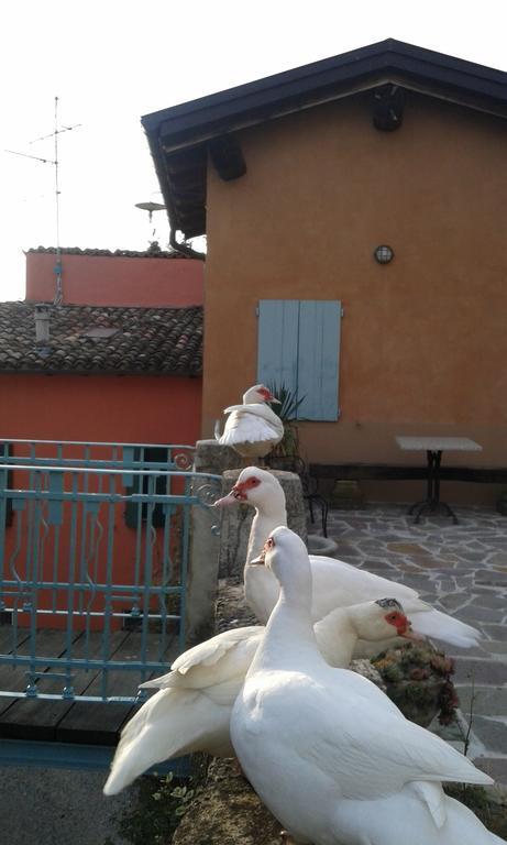 Agriturismo Il Gelso Traversetolo Экстерьер фото
