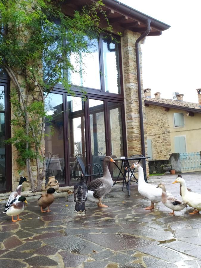 Agriturismo Il Gelso Traversetolo Экстерьер фото